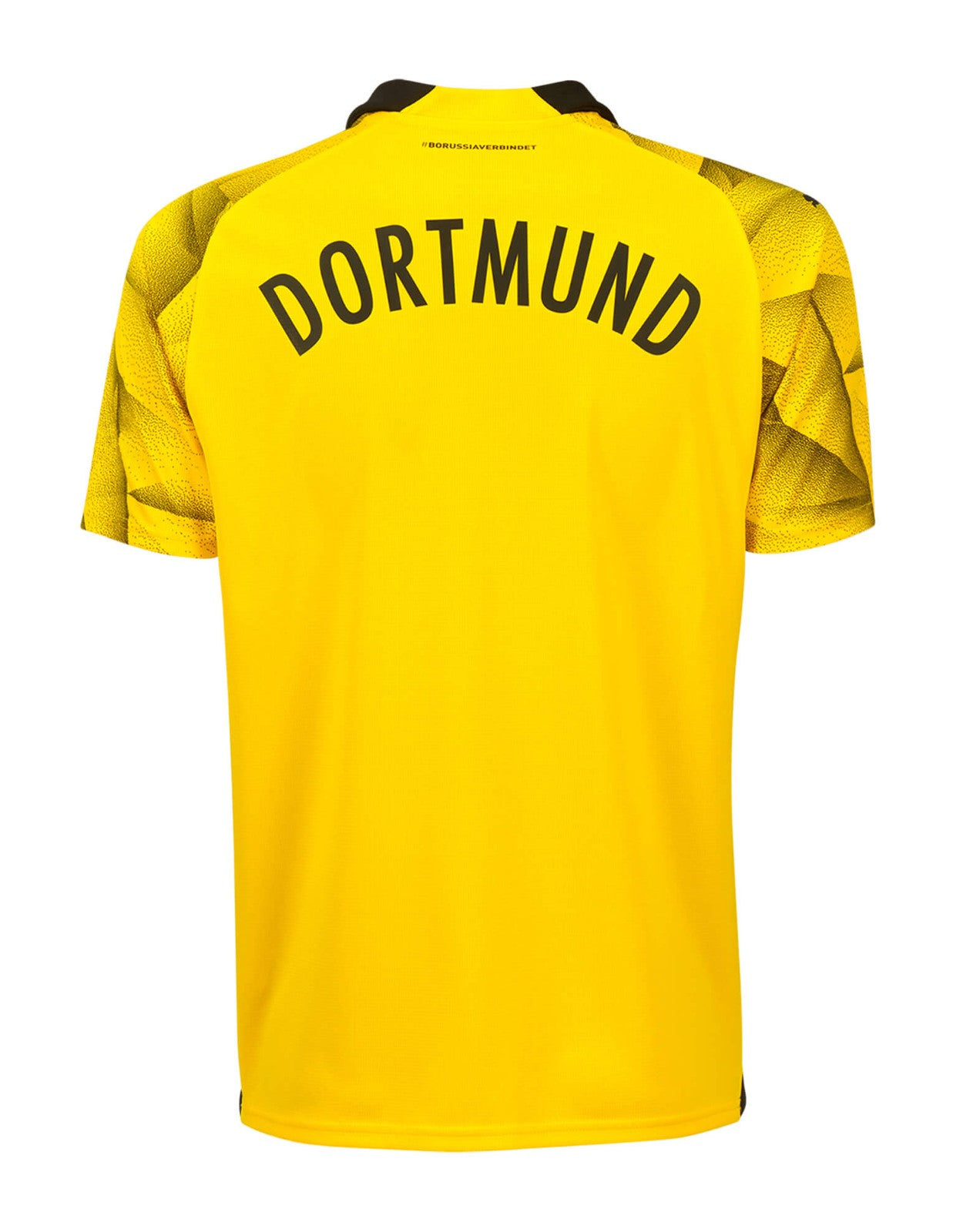 Borussia Dortmund 23/24 Home Alternate Kit