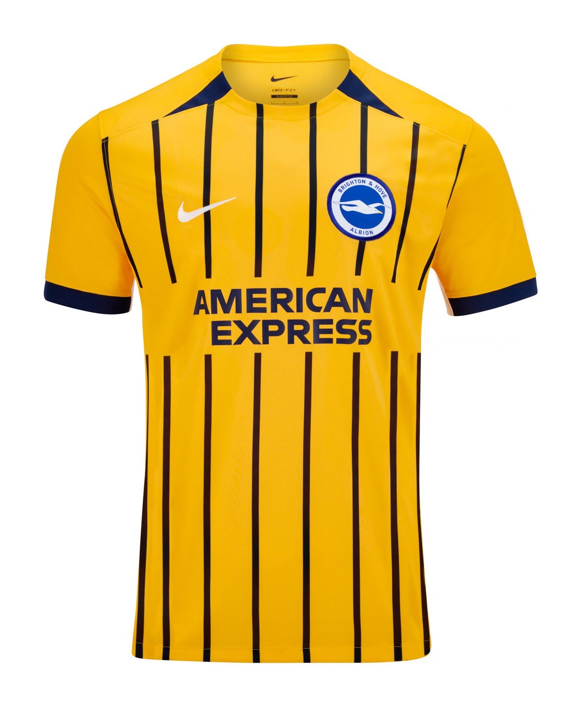 Brighton & Hove Albion 25/26 Third Jersey